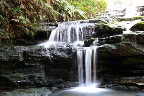 Private 10-hour Tour To Blue Mountains From Sydney - Hotel Pick Up & Drop Off - Accommodation Rockhampton 6