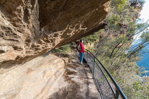 Blue Mountains Highlights & Wildlife Park - Accommodation Rockhampton 0