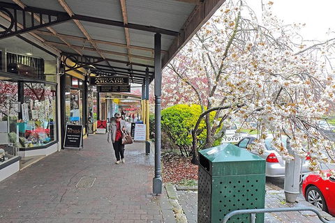 Blue Mountains Highlights & Wildlife Park - Accommodation Rockhampton 2