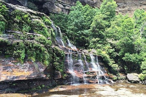 Blue Mountains Highlights & Wildlife Park - Accommodation Rockhampton 8