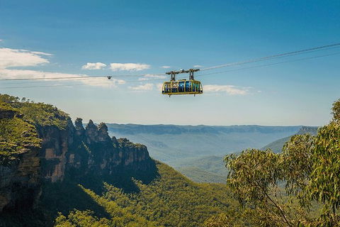 Blue Mountains Highlights, Wildlife Park And Scenic World Full Day Private Tour - Accommodation Rockhampton 0