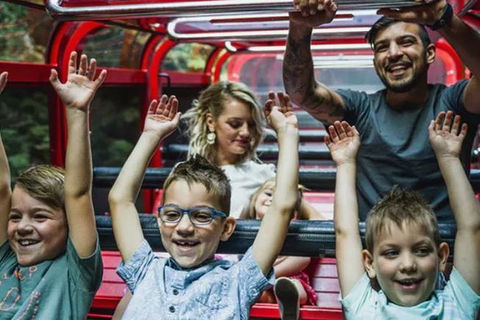 Blue Mountains Highlights, Wildlife Park And Scenic World Full Day Private Tour - Accommodation Rockhampton 5