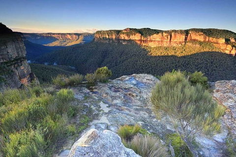 Blue Mountains Highlights, Wildlife Park And Scenic World Full Day Private Tour - Accommodation Rockhampton 4