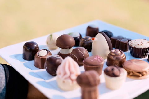 Hunter Valley Highlights Private Wine Tour From Sydney - Accommodation Rockhampton 7