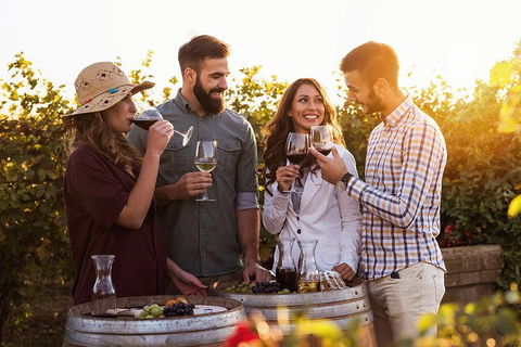 Hunter Valley Highlights Private Wine Tour From Sydney - Accommodation Rockhampton 0