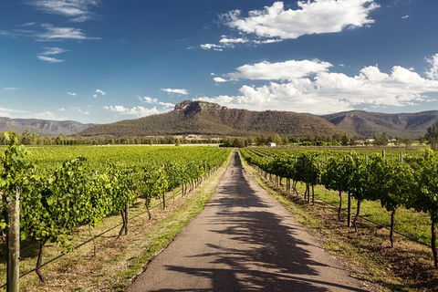 Hunter Valley Highlights Private Wine Tour From Sydney - Accommodation Rockhampton 2