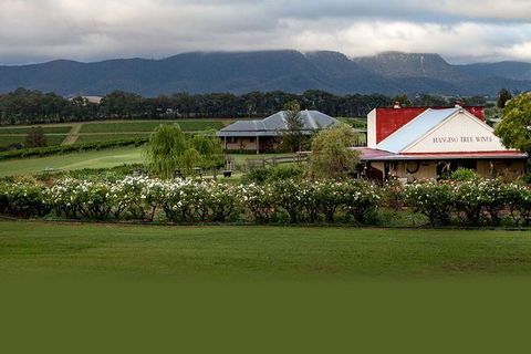 Hunter Valley Highlights Private Wine Tour From Sydney - Accommodation Rockhampton 5