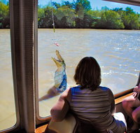 Jumping Crocs  Nature Adventure Cruise from Darwin - Accommodation Rockhampton