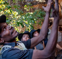 Arnhem Land Injalak Hill Full-Day Tour from Jabiru - Accommodation Rockhampton