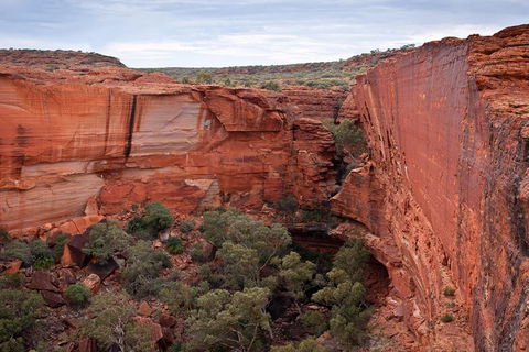 Uluru, Kata Tjuta And Kings Canyon Camping Safari From Alice Springs - Accommodation Rockhampton 4