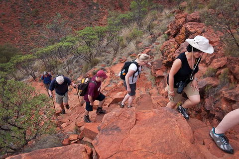 Uluru, Kata Tjuta And Kings Canyon Camping Safari From Alice Springs - Accommodation Rockhampton 3