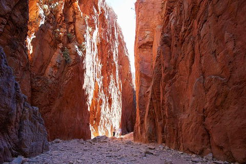 Best Of Alice Springs Full Day Tour - Accommodation Rockhampton 6