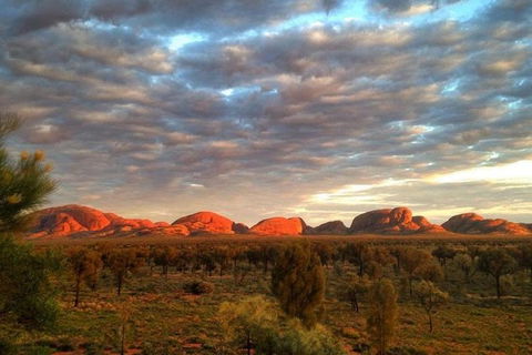 5-Hour Kata Tjuta Sunrise Tour From Ayers Rock With Breakfast - Accommodation Rockhampton 0