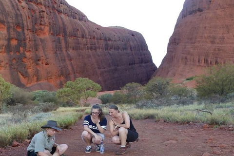 5-Hour Kata Tjuta Sunrise Tour From Ayers Rock With Breakfast - Accommodation Rockhampton 3