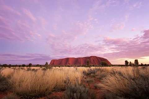 Sunset Australian Barbecue Dinner In Uluru - Accommodation Rockhampton 0