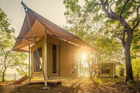 5 Day Kakadu National Park And Arnhem Land Tour - Accommodation Rockhampton 7