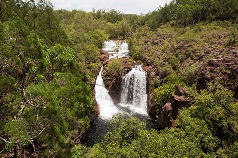 5 Day Kakadu National Park And Arnhem Land Tour - Accommodation Rockhampton 1