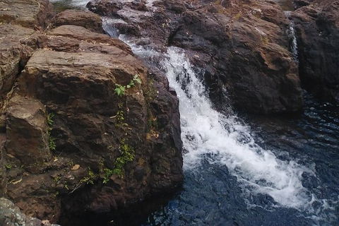 Full-Day Private Guided Tour To Litchfield National Park - Accommodation Rockhampton 8