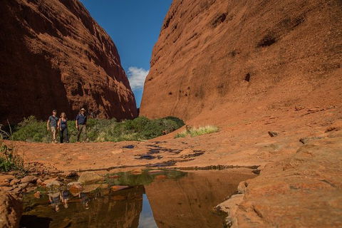 4 Day/3 Night Perentie Dreaming Safari - Accommodation Rockhampton 3