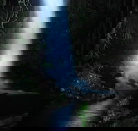 Mt Tamborine National Park 4WD Nocturnal Rainforest and Glow Worm Tour - Accommodation Rockhampton