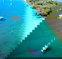 Half-Day Kayak SUP and snorkel tour at Wave Break Island with Lunch - Accommodation Rockhampton