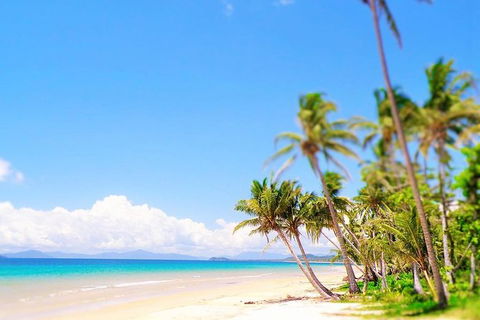 Airport Transfer - Mission Beach To Cairns Airport - Accommodation Rockhampton 3