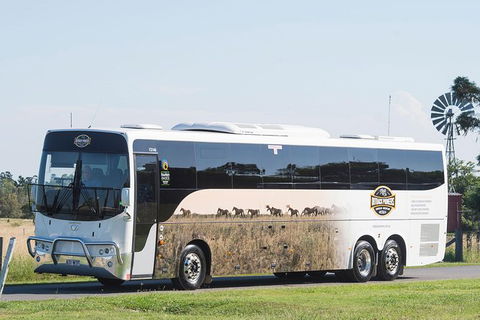 Winton Discovery Day Tour - Accommodation Rockhampton 4