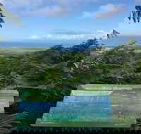 Daintree Luxury Limousine Tour - Full Day - Accommodation Rockhampton