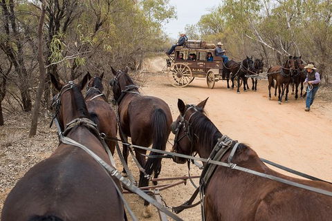Cobb And Co Stagecoach Experience - Accommodation Rockhampton 1