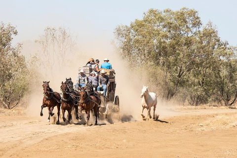 Cobb And Co Stagecoach Experience - Accommodation Rockhampton 0