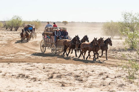 Cobb And Co Stagecoach Experience - Accommodation Rockhampton 4