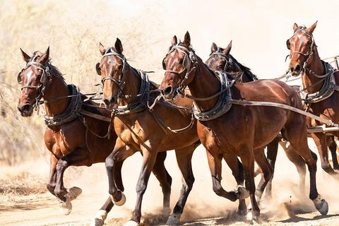 Cobb And Co Stagecoach Experience - Accommodation Rockhampton 2