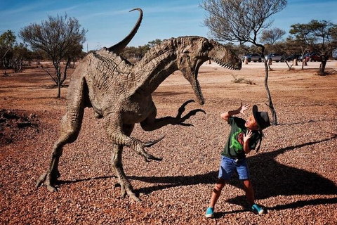 8-Day Outback Experience From Queensland - Accommodation Rockhampton 14