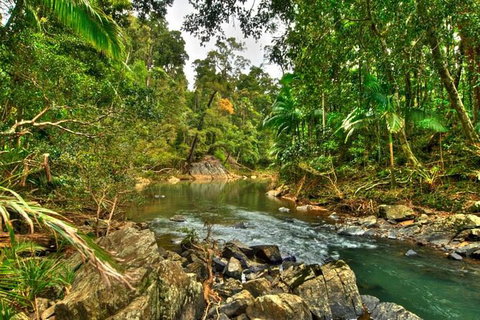 8-Day Outback Experience From Queensland - Accommodation Rockhampton 11