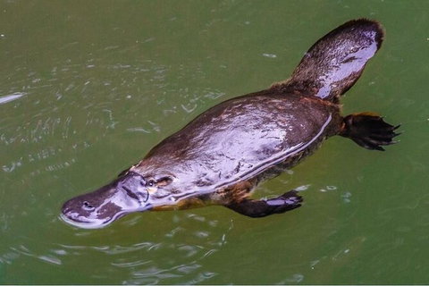 8-Day Outback Experience From Queensland - Accommodation Rockhampton 15