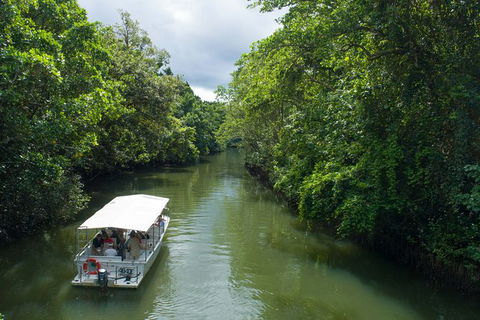 World Heritage Highlights: Reef/Daintree/Cape Tribulation - Accommodation Rockhampton 1