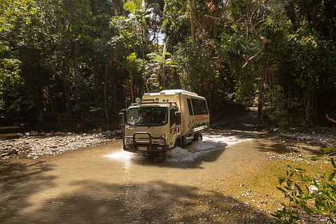 World Heritage Highlights: Reef/Daintree/Cape Tribulation - Accommodation Rockhampton 6