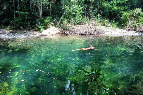 World Heritage Highlights: Reef/Daintree/Cape Tribulation - Accommodation Rockhampton 4