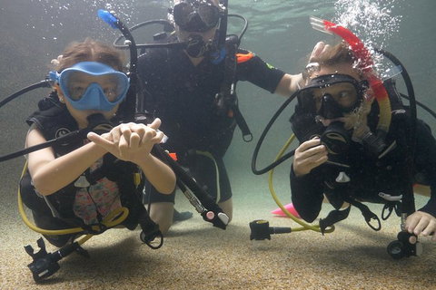 Scuba Kids- Padi Bubblemaker Course - Accommodation Rockhampton 4