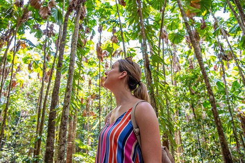 5 Day Australia Retreat: Queensland Daintree - Accommodation Rockhampton 3
