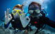2 Night Whitsunday Islands Cruise On Atlantic Clipper From Airlie Beach - thumb 4