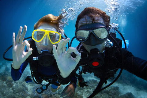 2 Night Whitsunday Islands Cruise On Atlantic Clipper From Airlie Beach - Accommodation Rockhampton 4