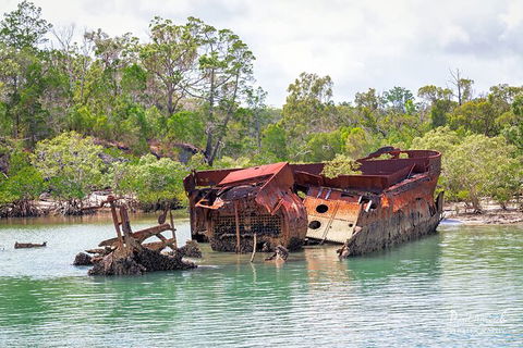 Sandy Straits Scenic & Wildlife Cruise - Accommodation Rockhampton 9