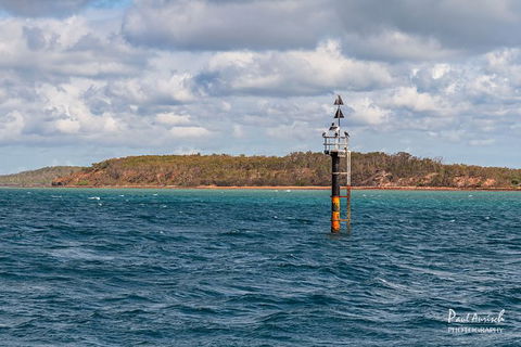 Sandy Straits Scenic & Wildlife Cruise - Accommodation Rockhampton 6