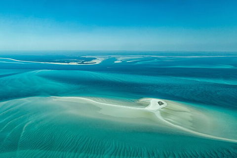 Sandy Straits Scenic & Wildlife Cruise - Accommodation Rockhampton 5