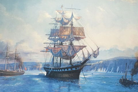 Sandy Straits Scenic & Wildlife Cruise - Accommodation Rockhampton 8