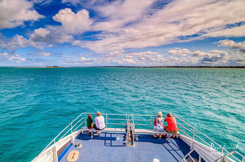 Sandy Straits Scenic & Wildlife Cruise - Accommodation Rockhampton 7