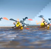 Kangaroo Island Self-Guided Kayaking on the Harriet River - Accommodation Rockhampton