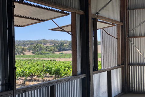 Armagh Vineyard Exclusive Wine Experience And Lunch - Accommodation Rockhampton 5