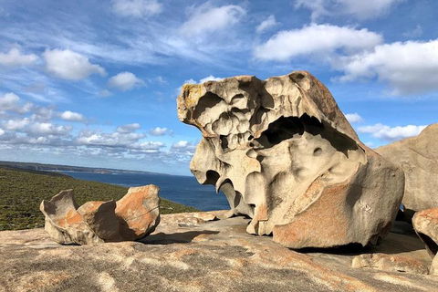 NEW TOUR - Flinders Chase Tour (Recovering From Fires) - Accommodation Rockhampton 2